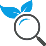 Professional SEO company