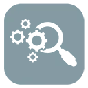 Professional SEO Expert