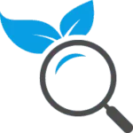 Professional SEO company