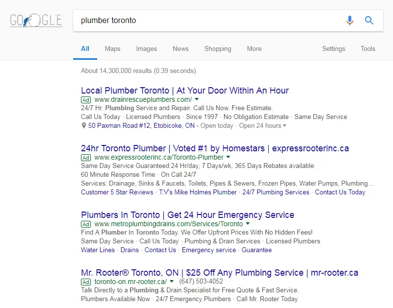 paid advertisement - local seo